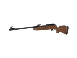 Tuning vzduchovky Gamo Hunter 440